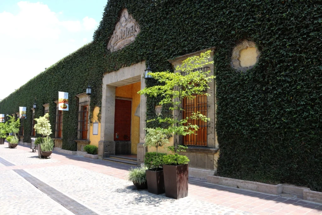 Guia para visitar Jalisco.