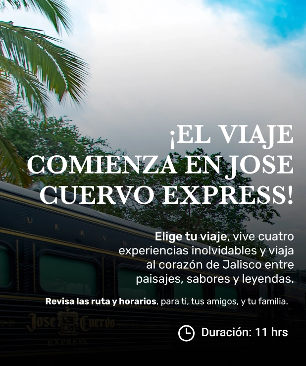 Banner Ad 2