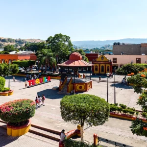 Móvil Recorridos en Tequila Jalisco.