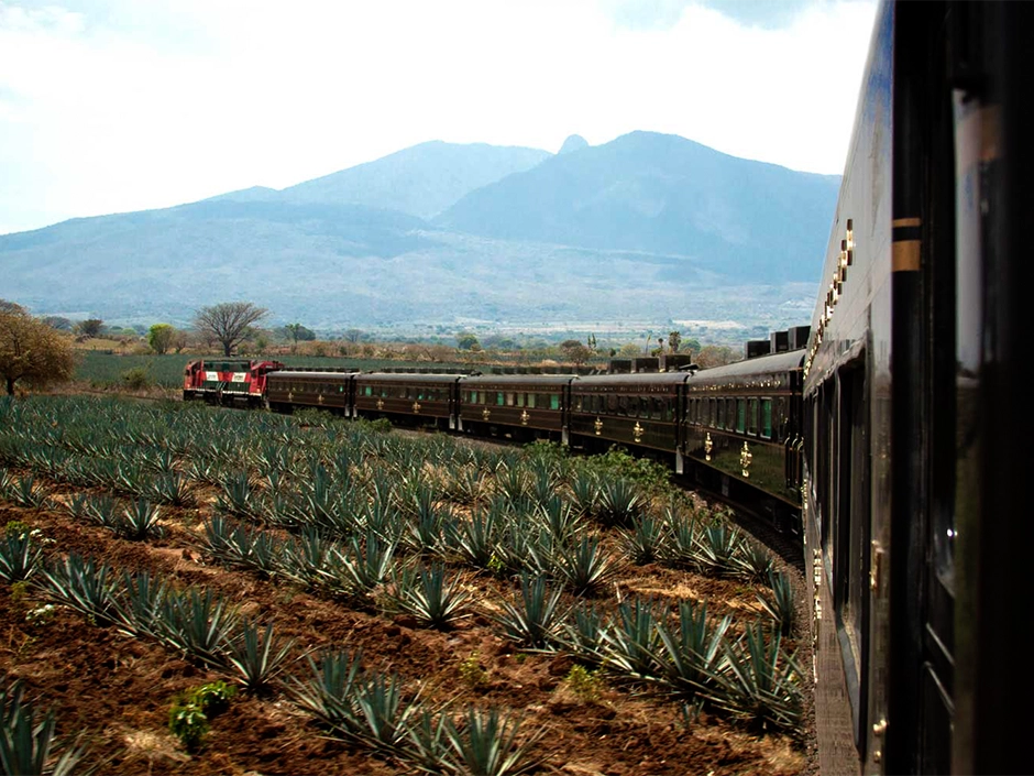 móvil Qué hacer en Tequila Jalisco.