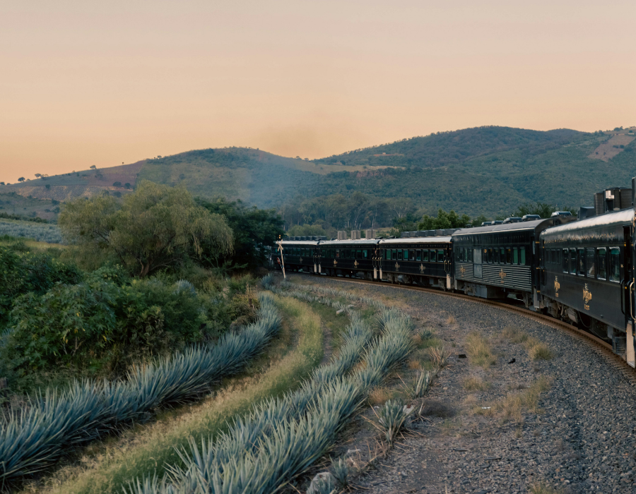 Agave Country and train