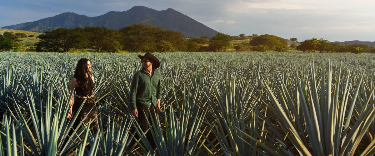 Where to travel in Mexico 5