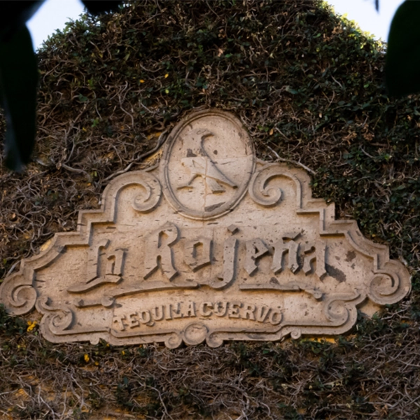 Featured image Unique experiences at La Rojeña Distillery