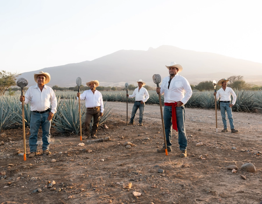 Jose Cuervo and Campos experience