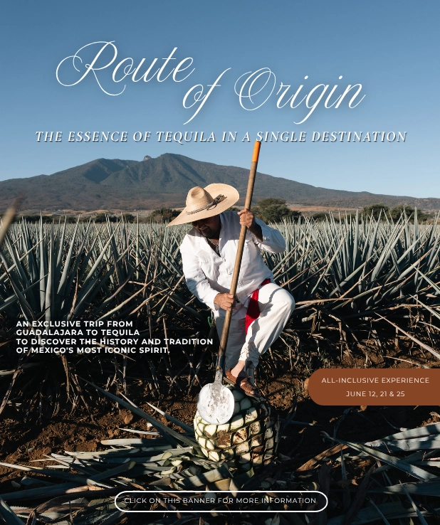 Ruta del origen mobile copy