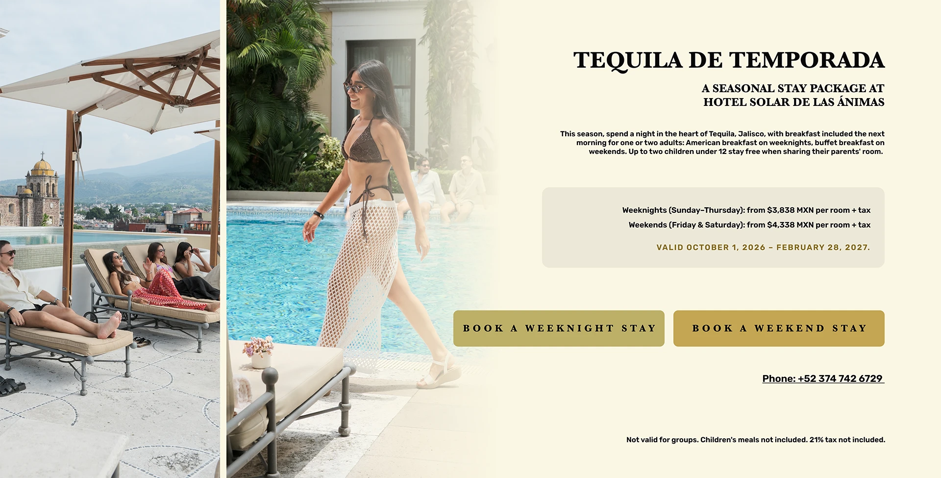 Tequila seasonal banner for the hosting page